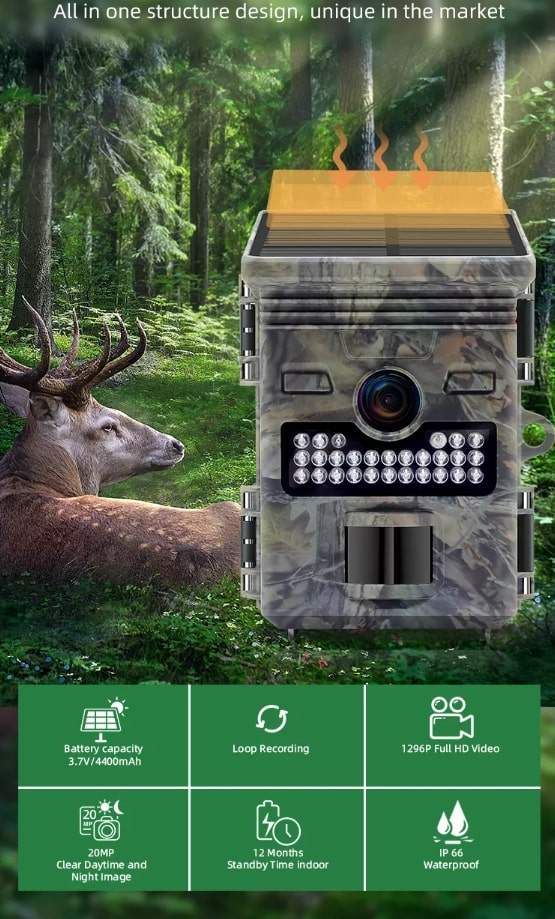 Wachman Solar Lite features